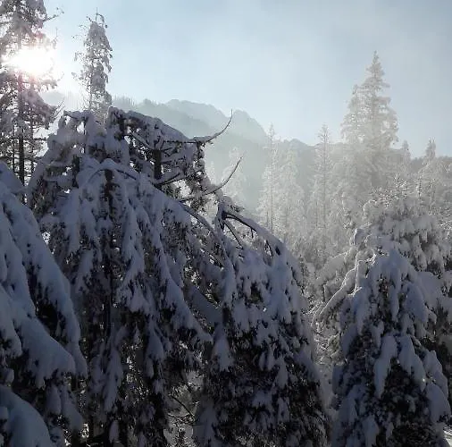 Privatunterkunft Malgorzata Pod Skocznia